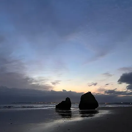 Appartement Luxury Modern T2 Ocean View - Free Parking - Pool *