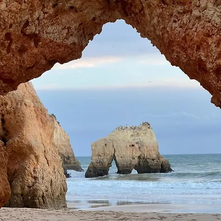 Luxury Modern T2 Ocean View - Free Parking - Pool Apartamento *