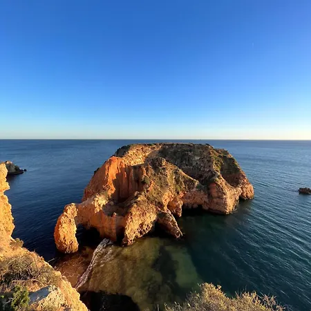 Luxury Modern T2 Ocean View - Free Parking - Pool *