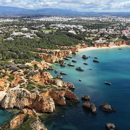 Luxury Modern T2 Ocean View - Free Parking - Pool